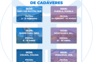 postcursosprimsem2026descuento